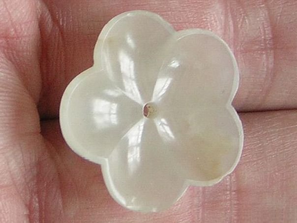 Flower  81 - (6340)